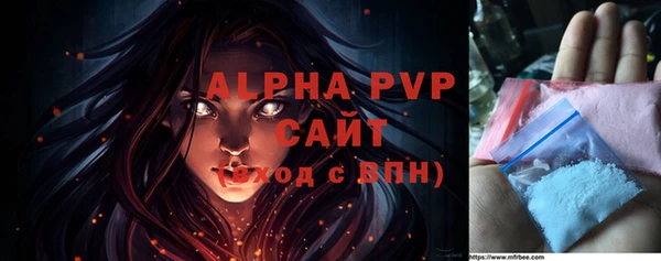 ПСИЛОЦИБИНОВЫЕ ГРИБЫ Верея