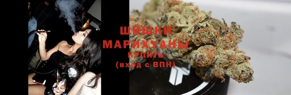 ПСИЛОЦИБИНОВЫЕ ГРИБЫ Верея