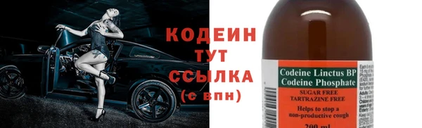 ПСИЛОЦИБИНОВЫЕ ГРИБЫ Верея
