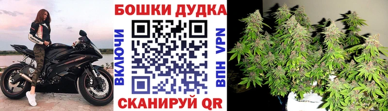 Марихуана сатива  магазин продажи наркотиков  Медынь 